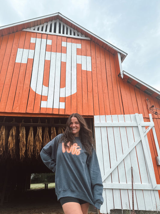 Gingham Vols
