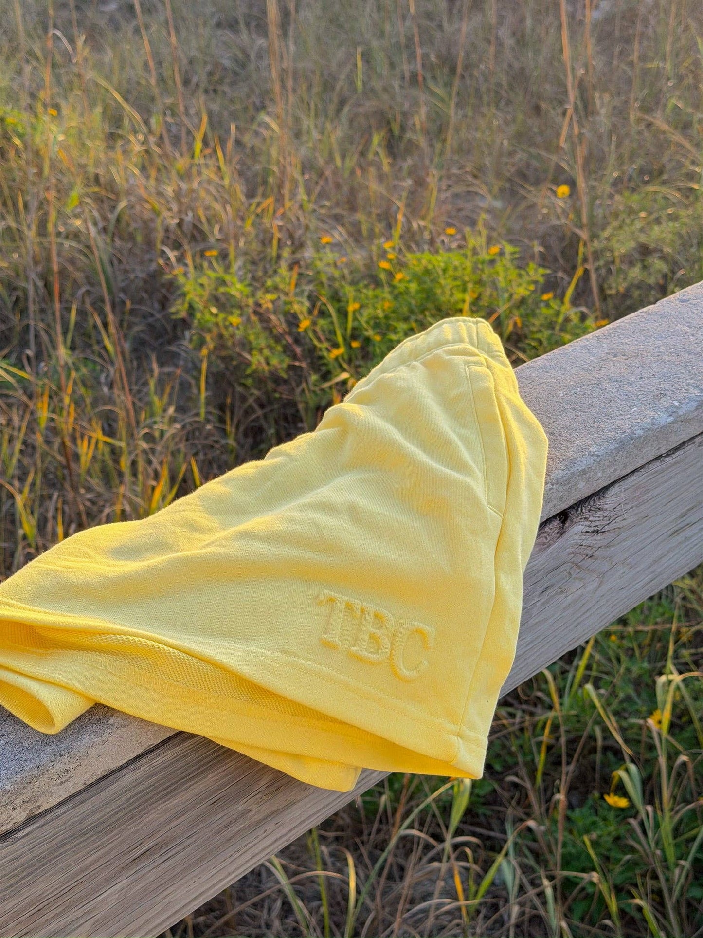 Sunshine Shorts